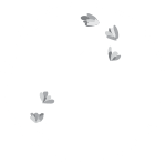 Lawendowy Domek Logo